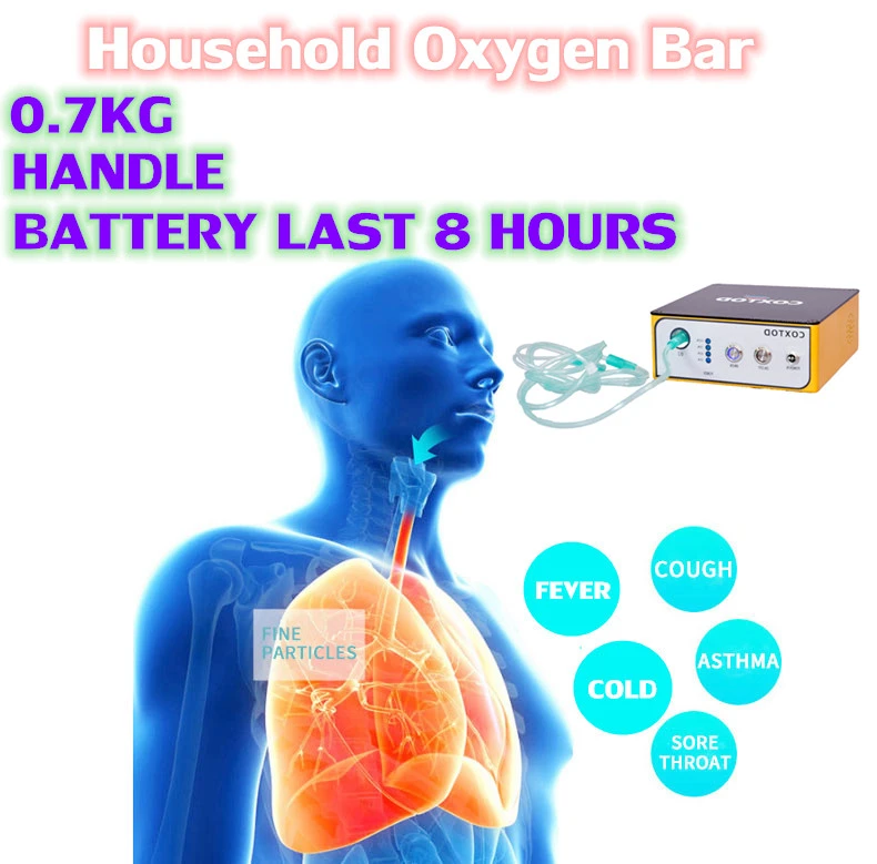 Small Oxygen Generator Machine Oxygen Generator Home Use Anion