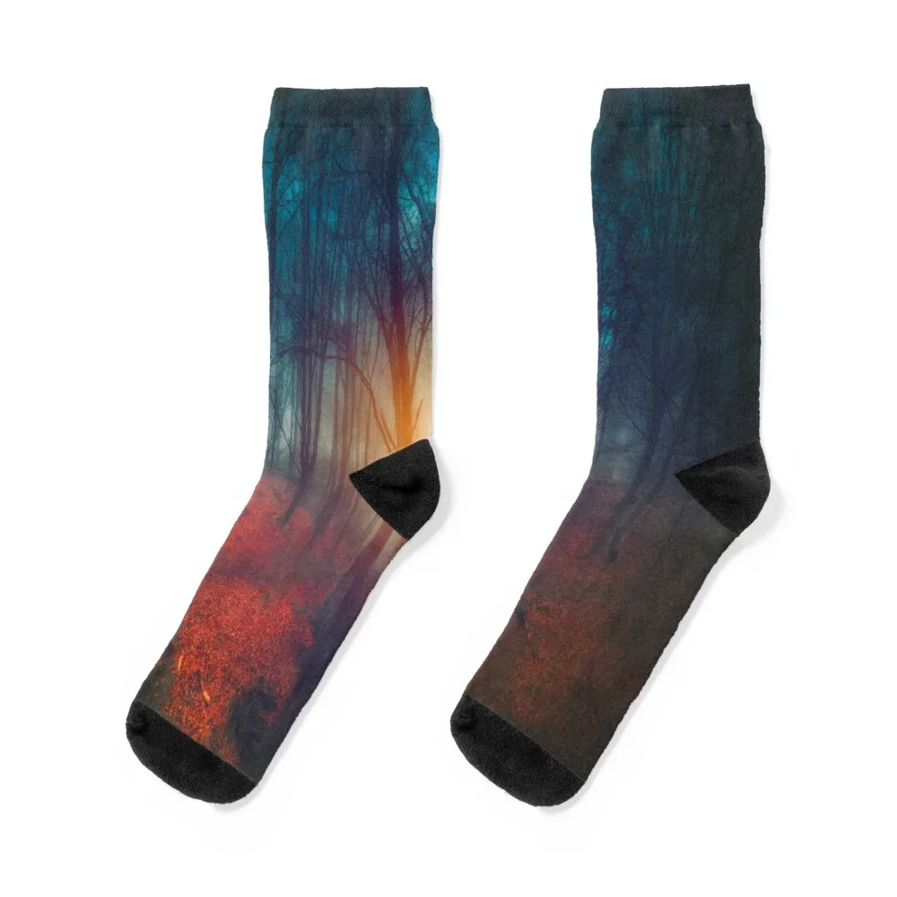 

cries and whispers Socks custom sports socks socks designer brand Socks Man Women's