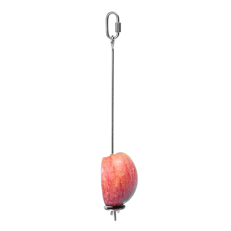 Parrot Feeder Stainless Steel Fruit Fork Corn Apple Fork Toy Bird Cage Supplies Insert Feeder Pet Parrot Accessories