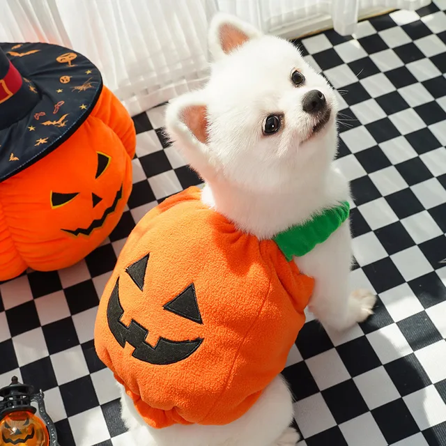 Halloween Costume 4