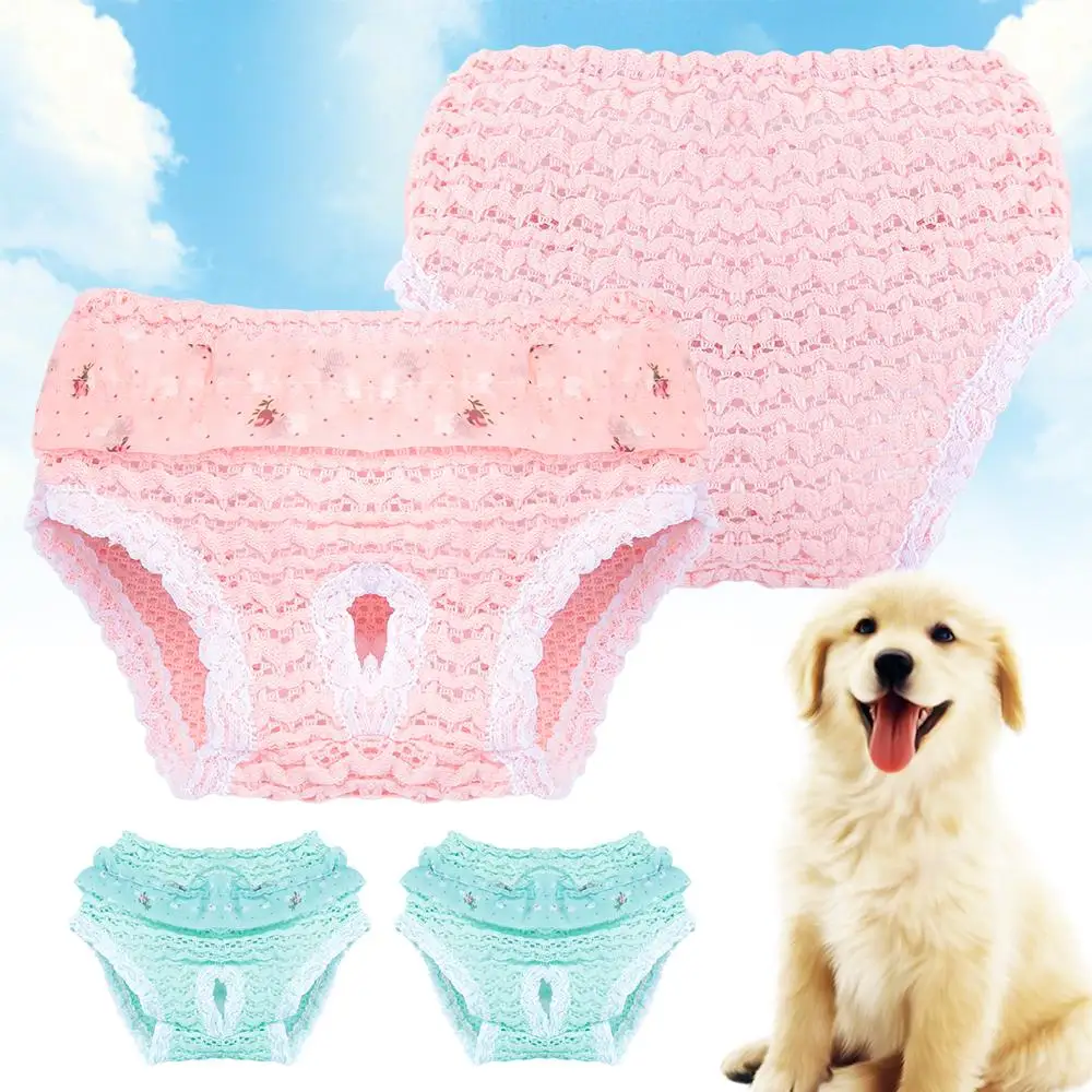 Chiffon Pet Physiological Pants Cute Elasticity Breathable Pet Physiological Pants Dog Panties Cat Underwear Supplies dog diapers,pet diapers,dog nappies