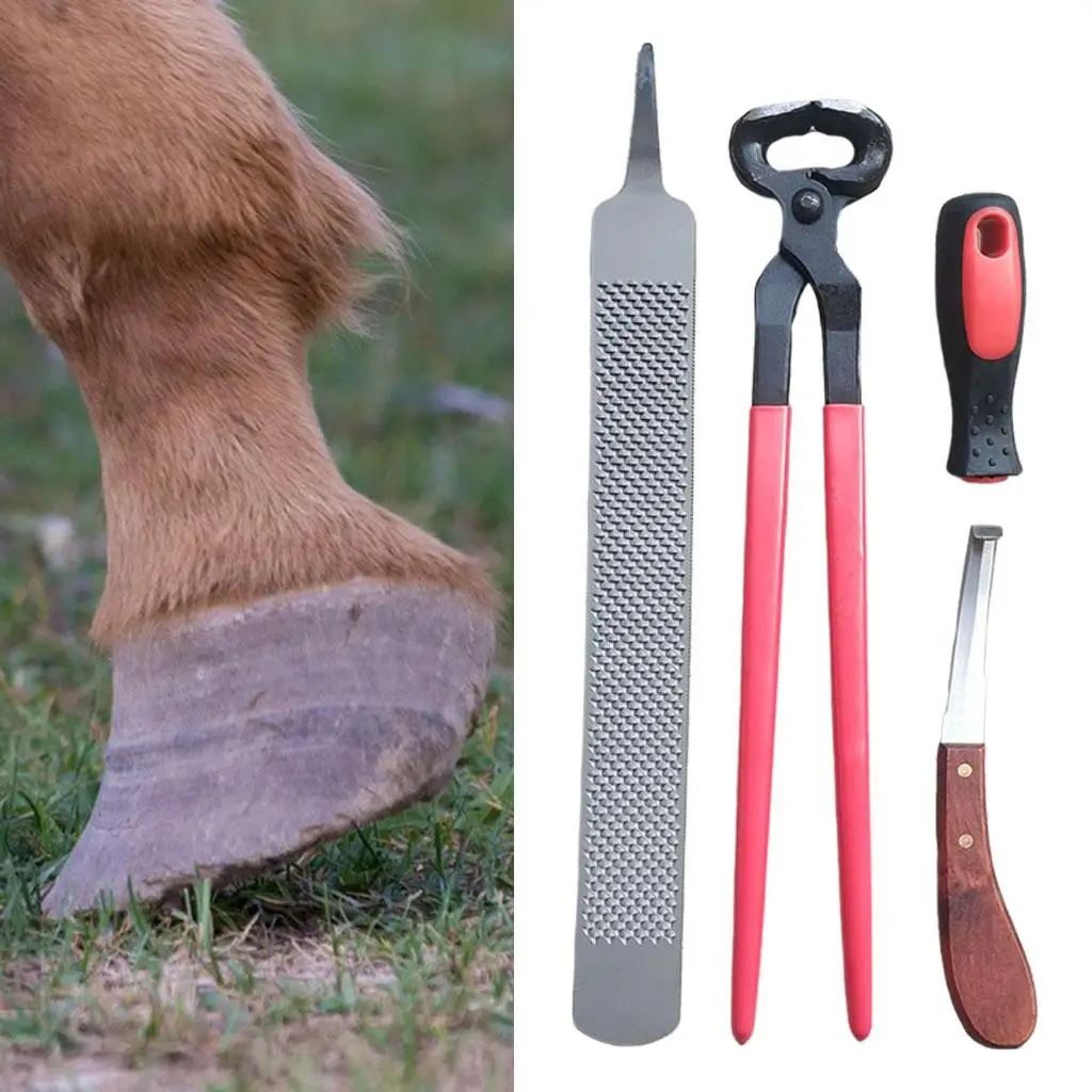 Professional Horses Hoof , Metal Tool Hoof , Manicuring for Donkeys, Horses