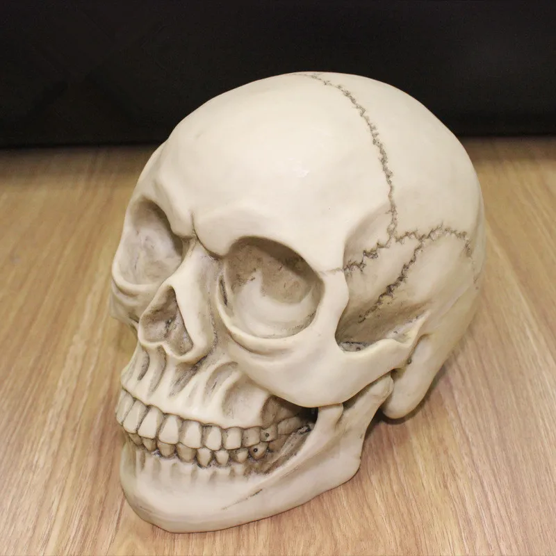 

1:1 Resin Skull Sculpture Education And Painting Dedicated Medical Model Realistic Home Decoration 3D Skull Model 19*15*14CM