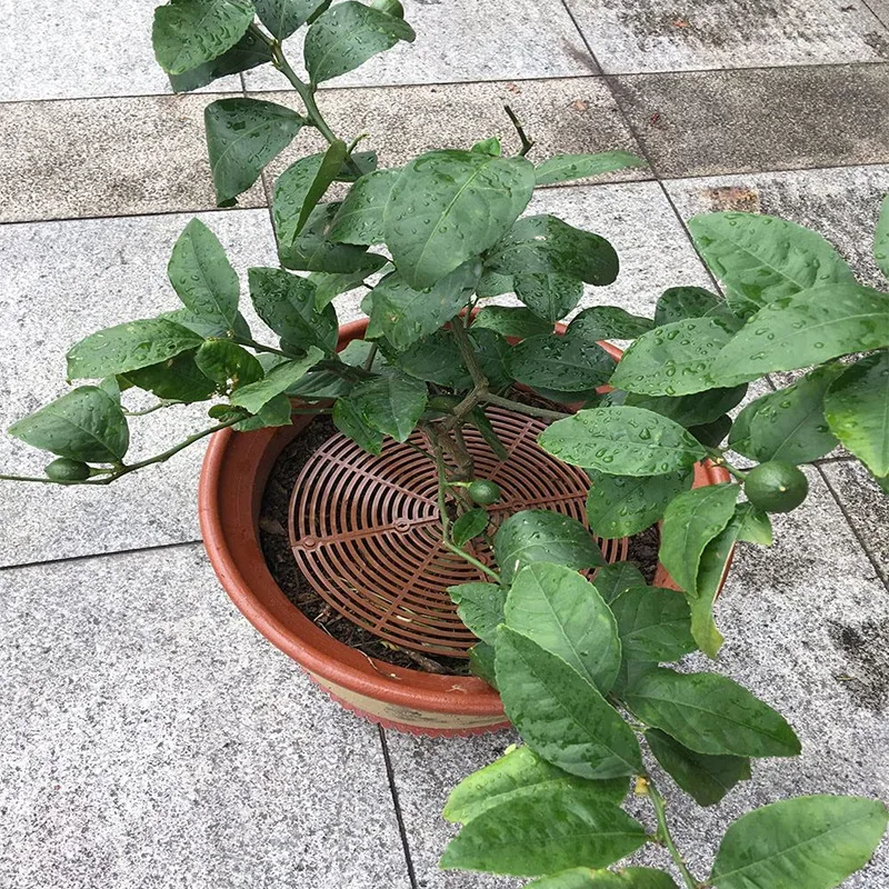 30 Cm - Couvercle De Pot De Fleur Grilleaccessoires De Protection De