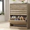 Shoe Storage Cabinet with 2 Flip Drawers for Entryway, Modern, Freestanding Rack Organizer (22.4”W x 9.4”D x 29.5”H) 1