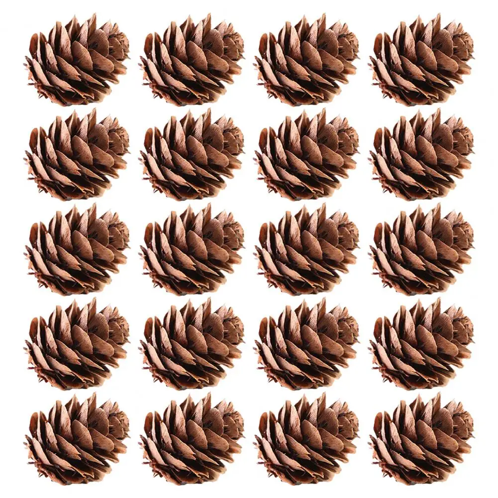 

Natural Attractive Simulation Decorative DIY 20Pcs Fake Pine Cone Widely Use Pinecone for Festival