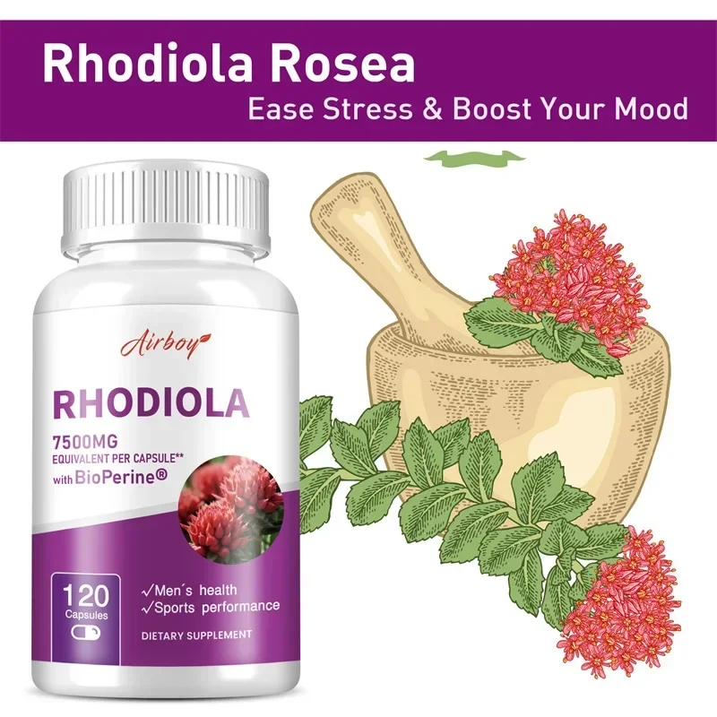 Rhodiola Supplement-Improves Energy and Focus, Relieves Stress, Improves Mood, Non-GMO