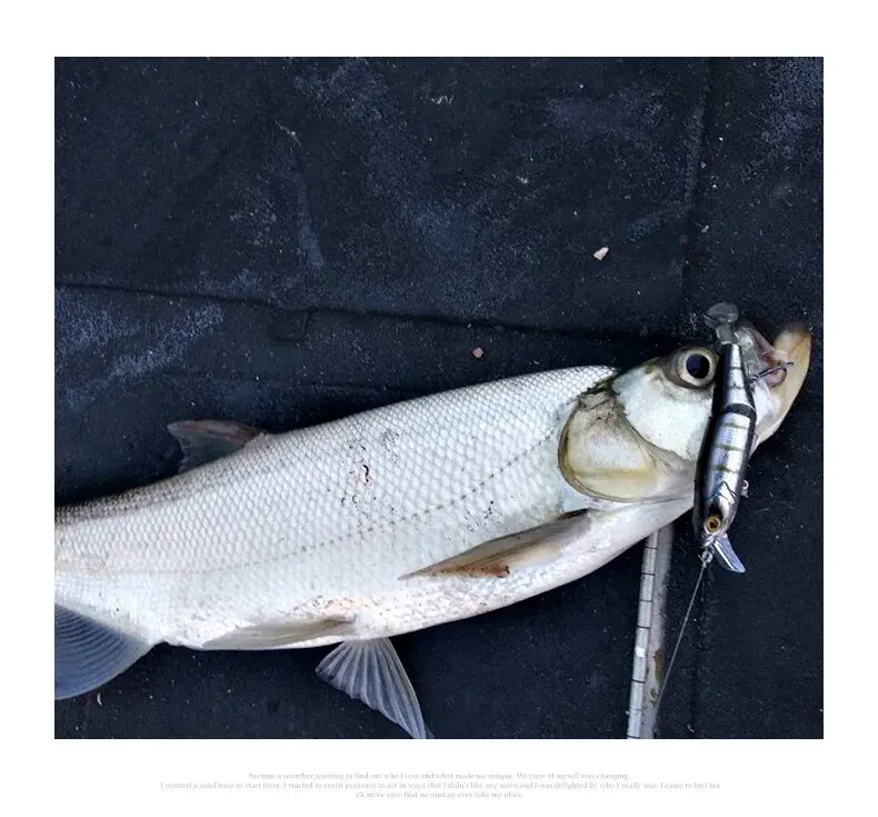 Kingdom Angelköder mit mehreren Gelenken, 120 mm, 17,5 g, schwimmender harter Minnow-Jerkbait, Forellenwobbler, weicher T-Schwanz-Swimbait für Barsch, Hecht – Detail 5