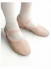 Ballet Shoes With Heels Adult  Women Girls Soft Leather Latin Dance Shoe Practice Teacher Teaching 2