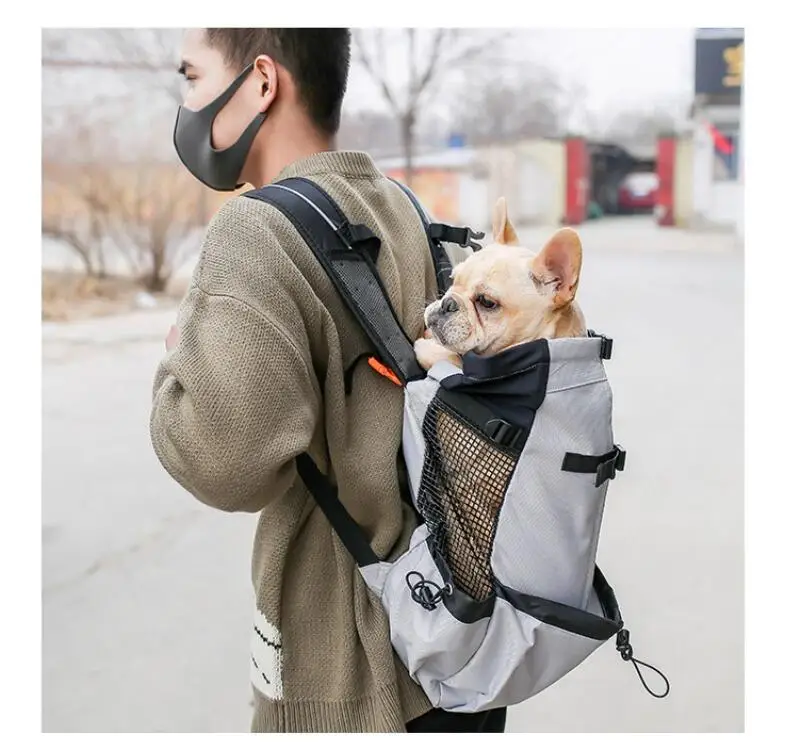 Sac à dos de voyage chic pour chien : tous les tailles