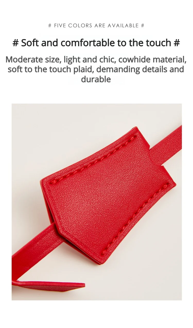 Luggage Tag Boarding Pass For Speedy 25 30 Soft Keychain Bag Hanging Replacement Bag Strap Bag Insert Modification Accessories
