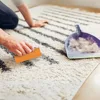 Durable Portable Pet Hair Carpet Scraper Mini Easy Grip Cat Dog Hair Scraper Carpet Scraper Couch Home Supplies Multifunctional 3