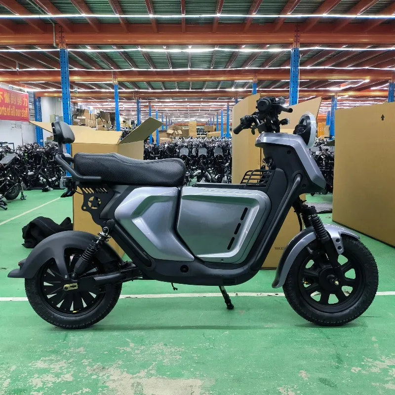 BR Luyuan OEM Factory High Speed Electric Motorcycles Scooter 60v 16inch Long Range Electric City Bike 1000W 1500W 2