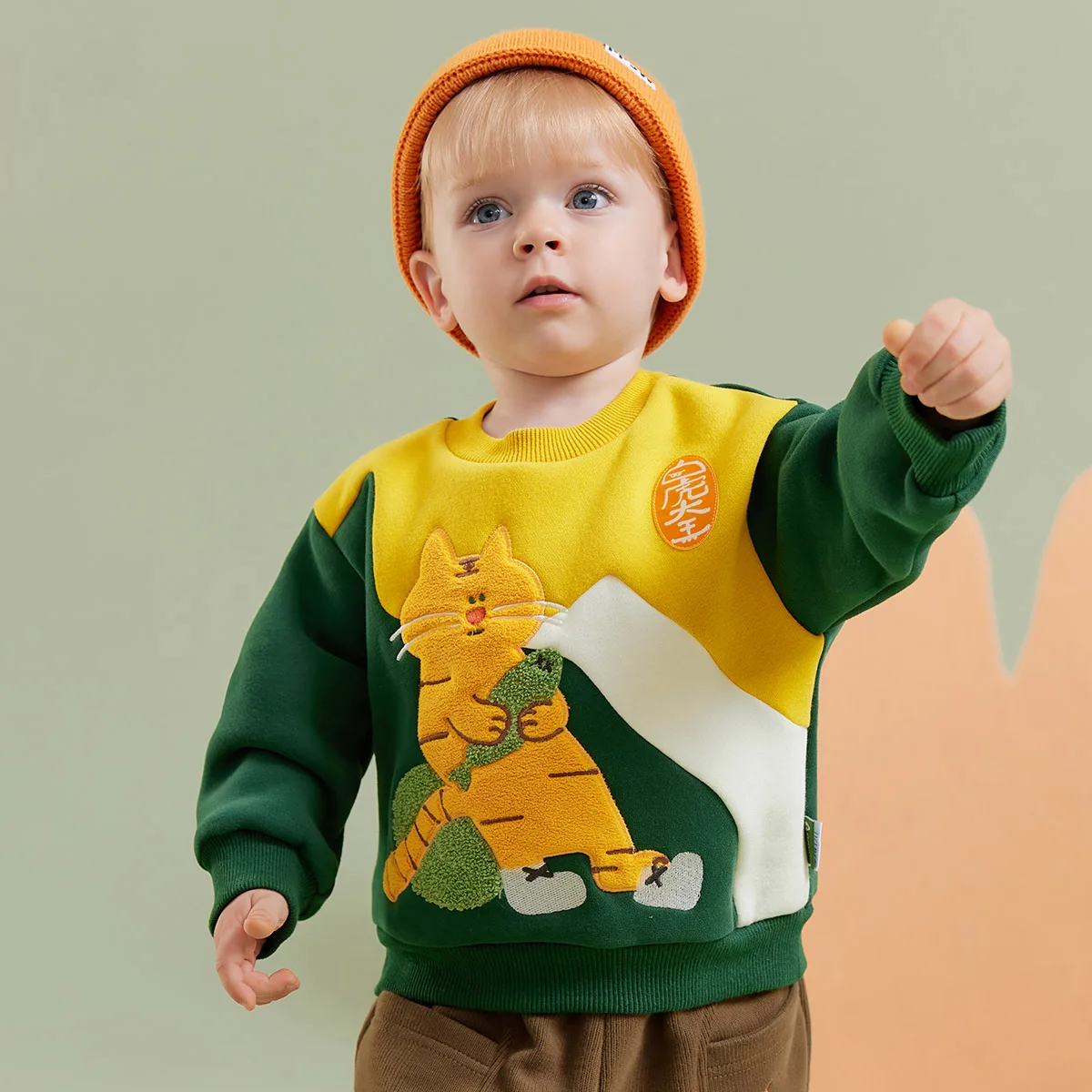 Amila Baby Boy Hoodie Winter New Multicolour Round Neck Fleecing Soft Fashion Warm Elastic Baby Clothing