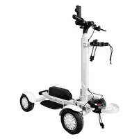 Scooter électrique puissant pour le golf, 10 pouces, pour adultes, double moteur, pliable, batterie amovible, démarrage par mot de passe 3