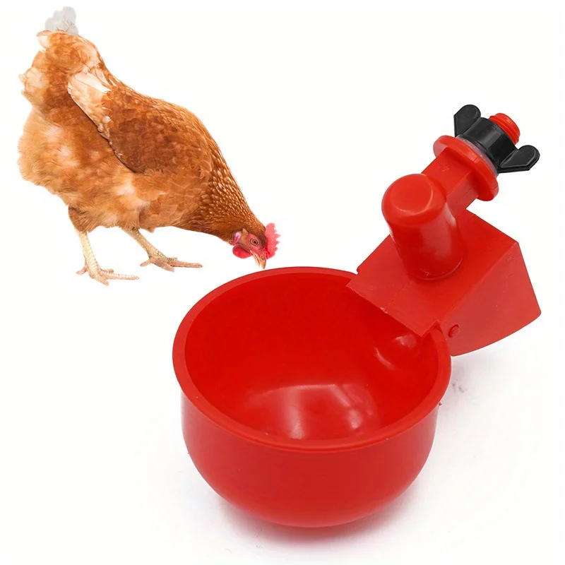 Poultry Water Dispenser 6