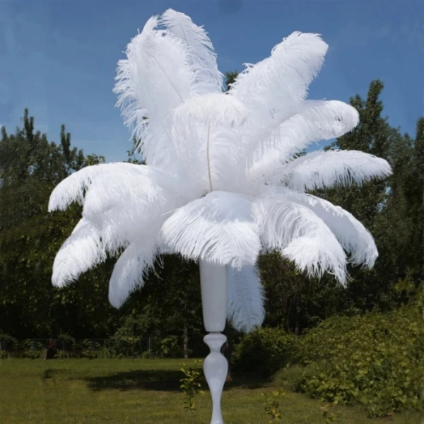 Rainbow Feathers Shop Store