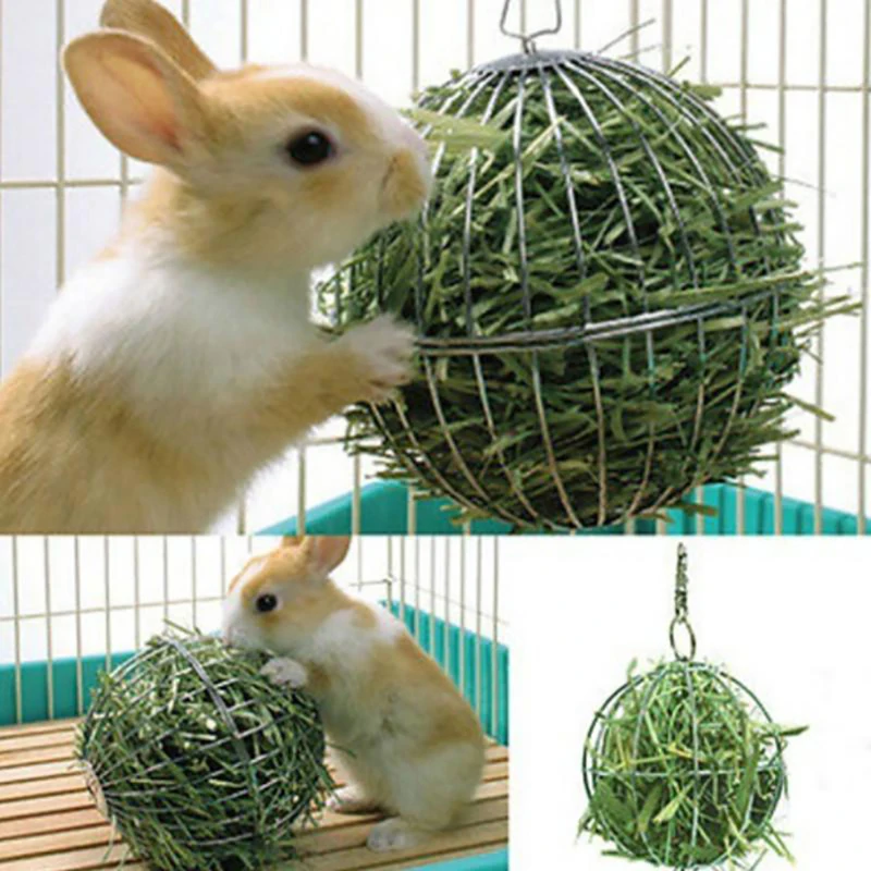 Hanging Hay Feeder Ball 1