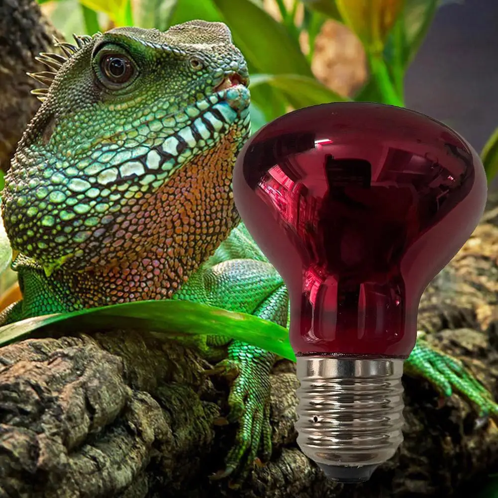 25W 40W 50W 60W 75W 100W E27 Poultry Heating Bulb Infrared Insulation Heating For Reptiles Plants Amphibians Pets Livestock Lamp 5