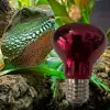25W 40W 50W 60W 75W 100W E27 Poultry Heating Bulb Infrared Insulation Heating For Reptiles Plants Amphibians Pets Livestock Lamp 5