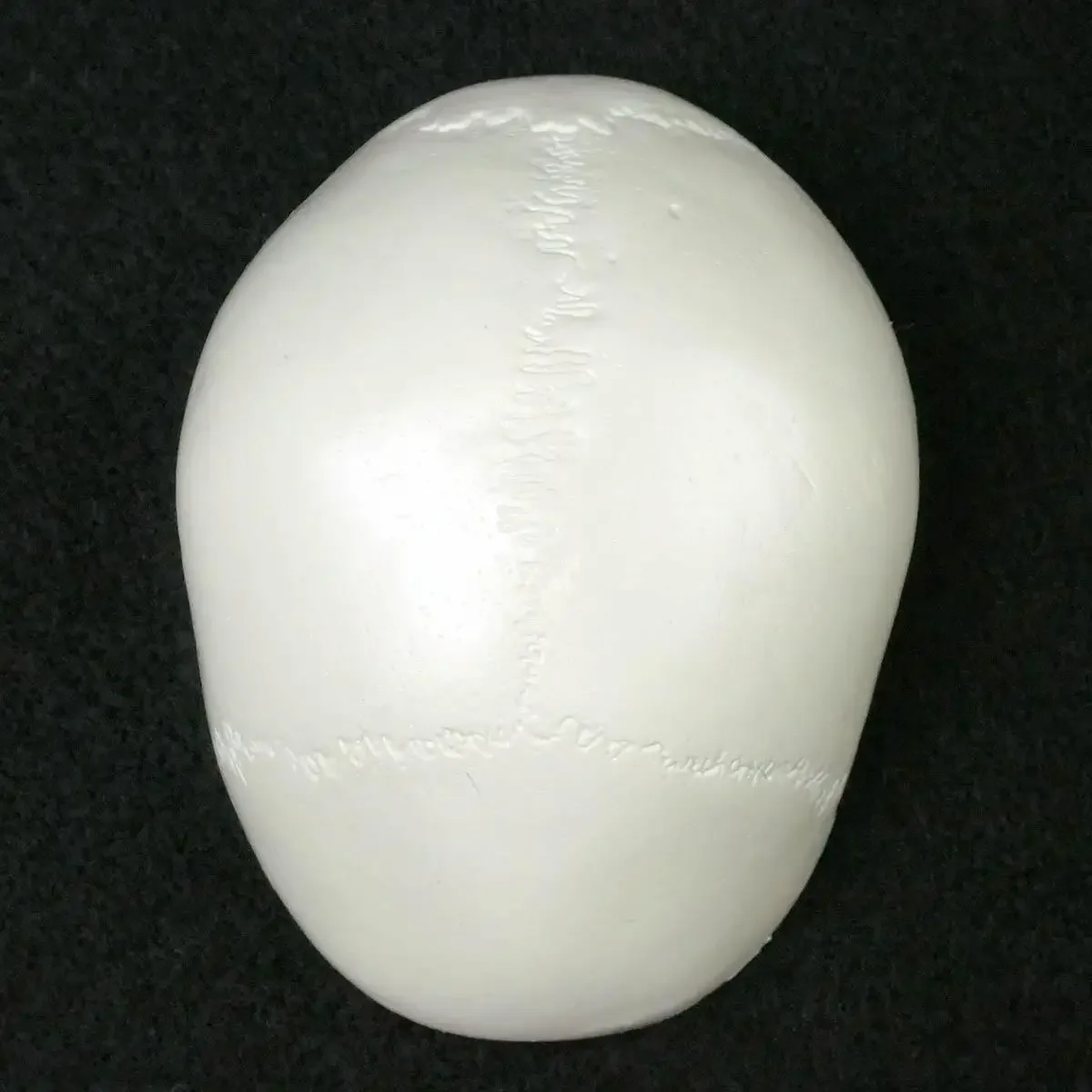 Human Anatomical Model Medicine Skull Head Studying Anatomy Teaching Supplies Skull Model human skull model