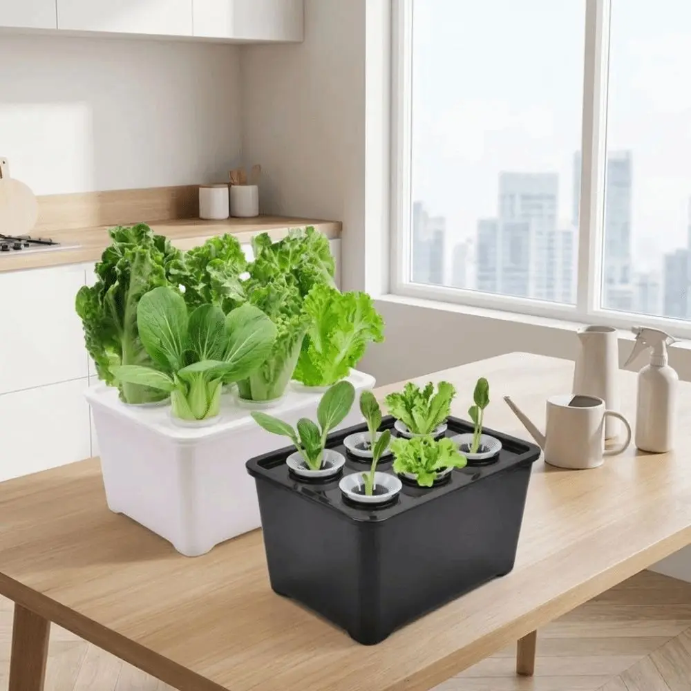 Hydroponic Grower Kit with Self-Watering Seedling Pots and Durable Cultivation Box