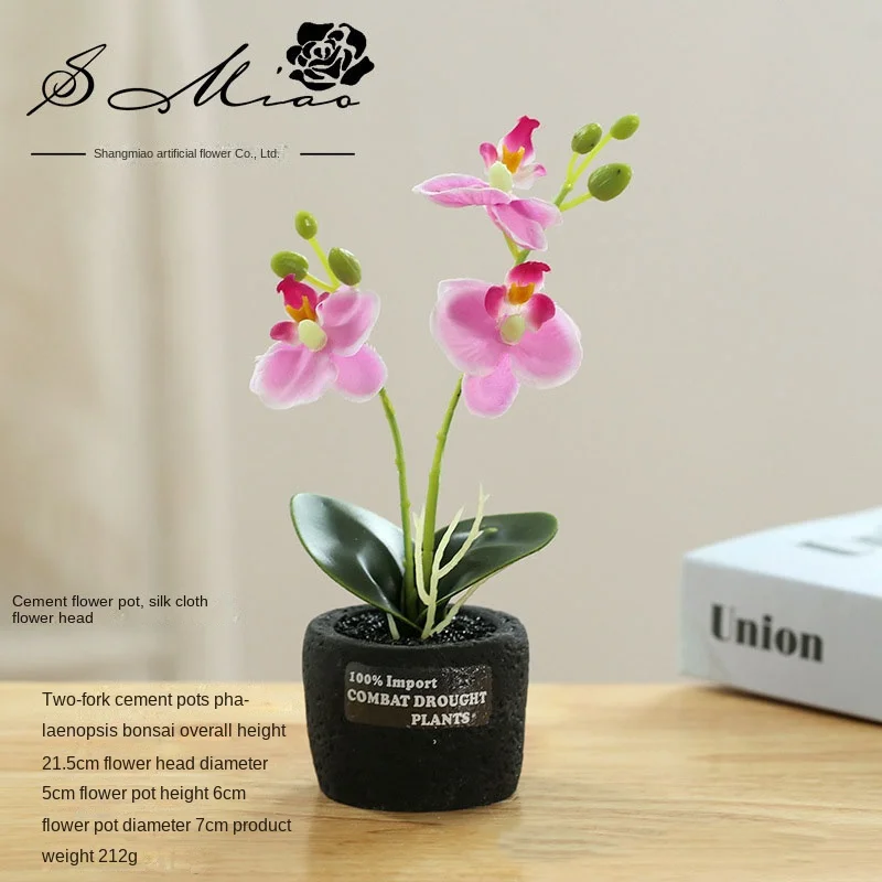 New Two-pronged Cement Pot Phalaenopsis Bonsai Creative Artificial Ornaments Simulation Flower Factory Direct Supply