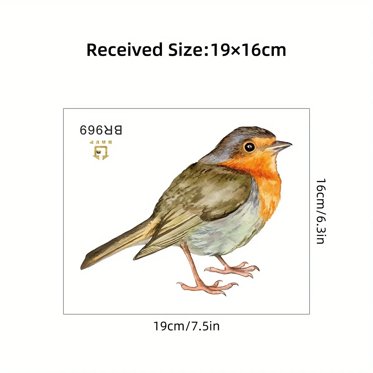 Watercolor Simulation Cute Bird Animal Window Stickers Removable for Bedroom Living Room Window Decoration Foyer Wall Decals