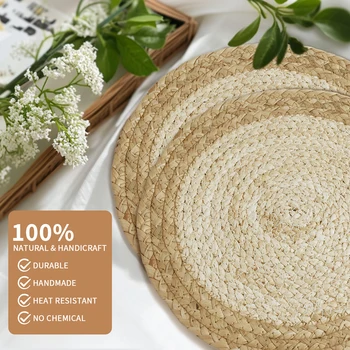 Braided Placemats Set 21