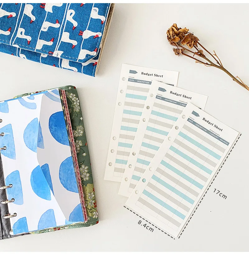 Budget Binder Sheets A6 Binder Stickers for Pockets Daily Budget Record Notes Binder Papers Category Sticker Labels 6