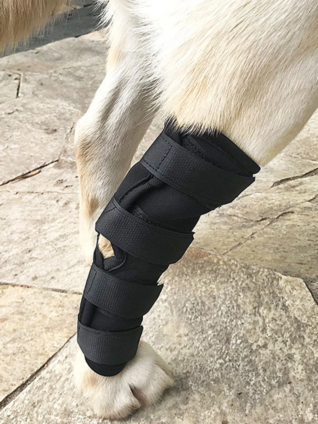 protective cover for pet leg injuries protection