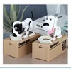 Fun Stealing Money Electric Piggy Bank Toy Gift Choken Bako Robotic Dog Coin Bank 4