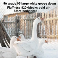 Premium Goose Down Quilt – Soft, Warm for All Seasons