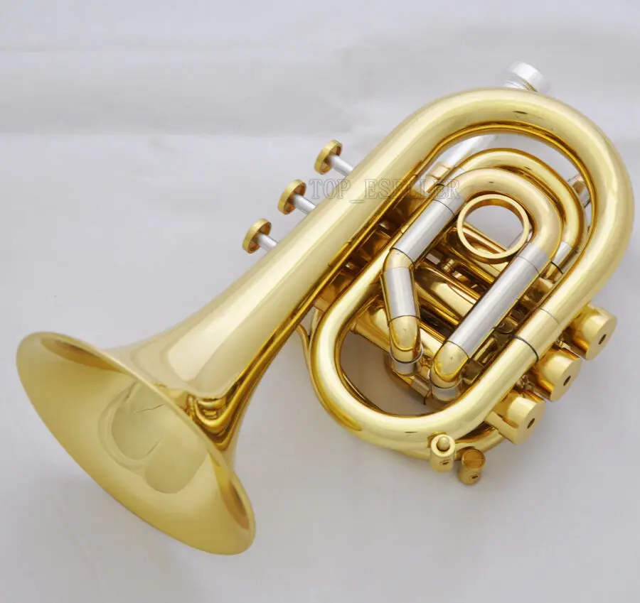 Description Picture 2 of itemProfessional C Key Pocket Trumpet Gold Lacq Cornet Horn Monel Valve New Case