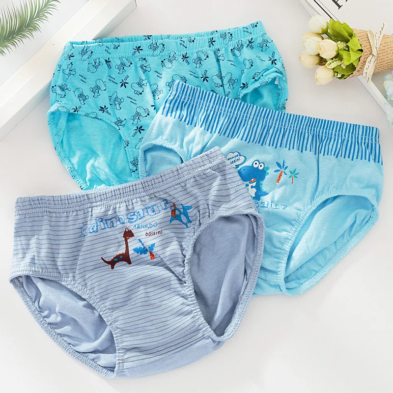 Boys Dinosaur Underwear Set 2