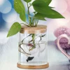 6 Pcs Indoor Hydroponic Vase Block Terrarium Cork Lid Wood for Bottles Glass Planter 5