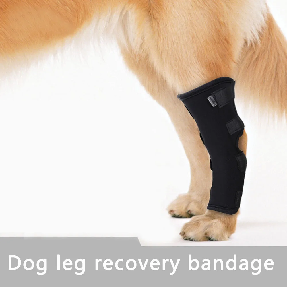 

Dog Leg Joint Protector Anti-Licking Wound Aid Bandage Fixed Joint Sprain Wound Rehabilitation Belt Dog Accessories