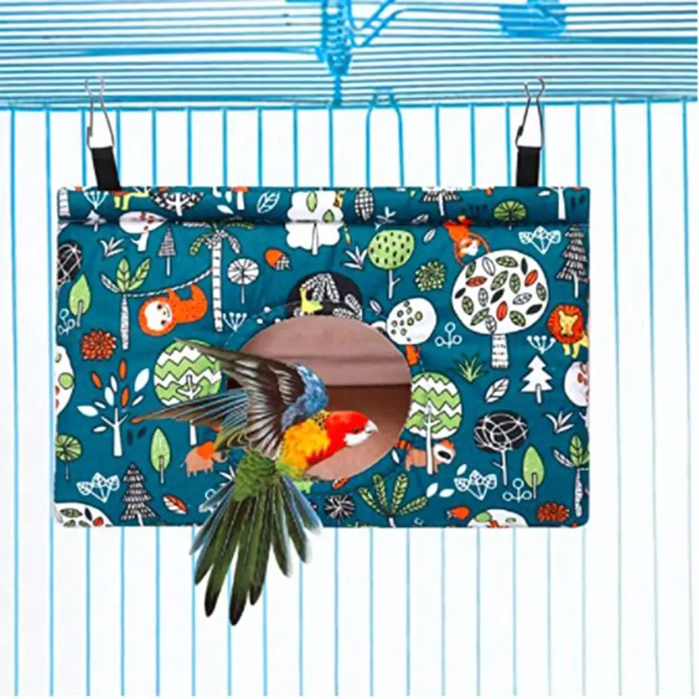 Budgies ܿ ÷ ܽ Ͽ콺, ǫ ֿ  Ʈ,  ħ, ޹ ظ,  θ