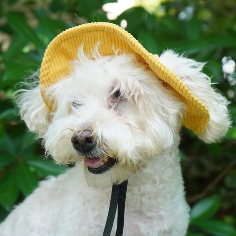 Cat Hat Dog Hat With Ear Hole For Large Dog Sunscreen Summer