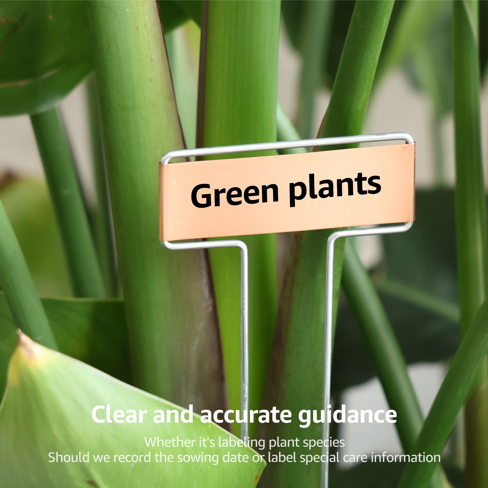 25Pcs Metal Plant Label Stakes T Type Waterproof Nursery Garden Labels 10inch Copper Plant Tags Gardening Flowers Herbs Marker