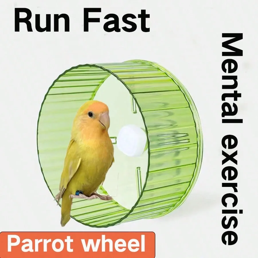 Spinning Wheel Treadmill 1