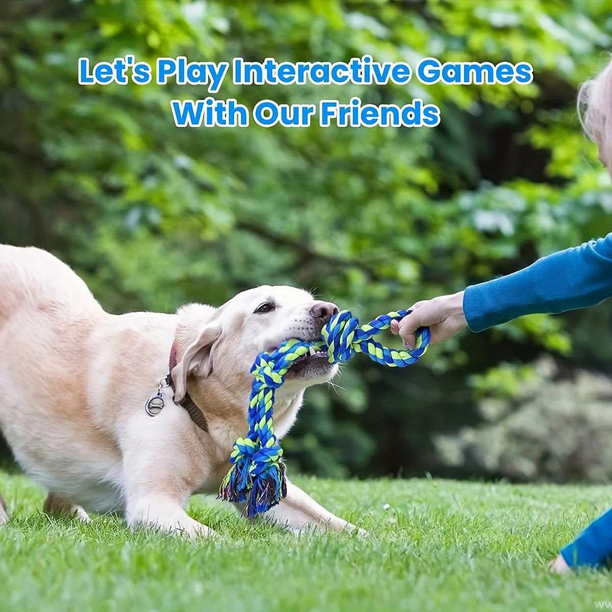 Durable Knot Dog Chew Toy 4
