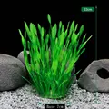 22cm Green