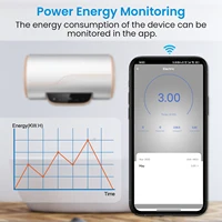 LoraTap WiFi Boiler Water Heater EU US IL Switch Tuya Smart Life App Remote Control Energy Monitoring Voice Google Home Alexa - Image 3
