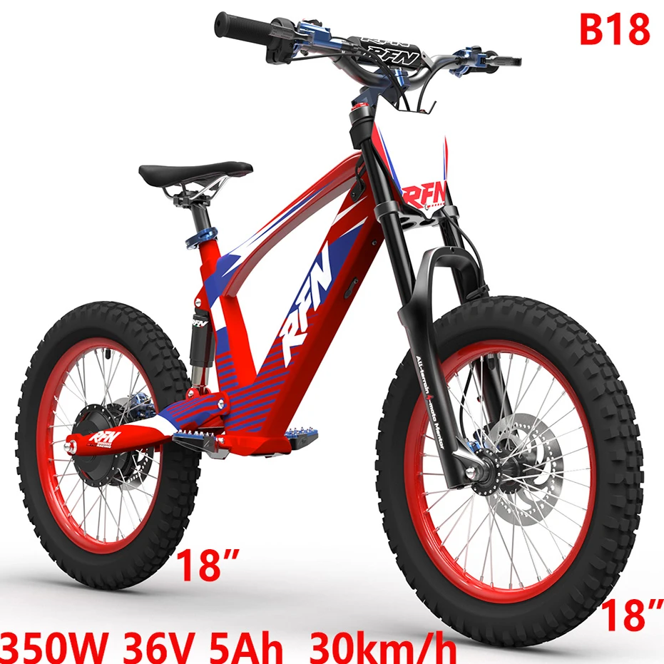 

350W 36V 5Ah balance bicycle B18