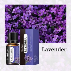 Aromatic Essential Oil Variety Set - 20 Fragrances for Diffusers and Humidifiers, 10ml Bottles (Lavender)