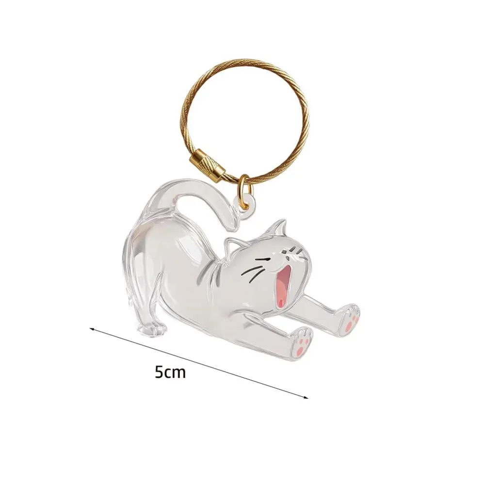 New Transparent Cat Hair Storage Keychain Cute DIY Decoration Pet Fur Keepsake Capsule Gifts Pet Hair Container Pet Lovers