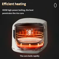 Electric Rice Cooker Smart 2L Automatic Multifunction Rice Cooking Machine Non-stick Liner for Food Warmer Household Rice Cooke 2