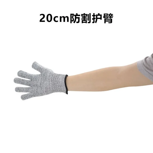 20cm