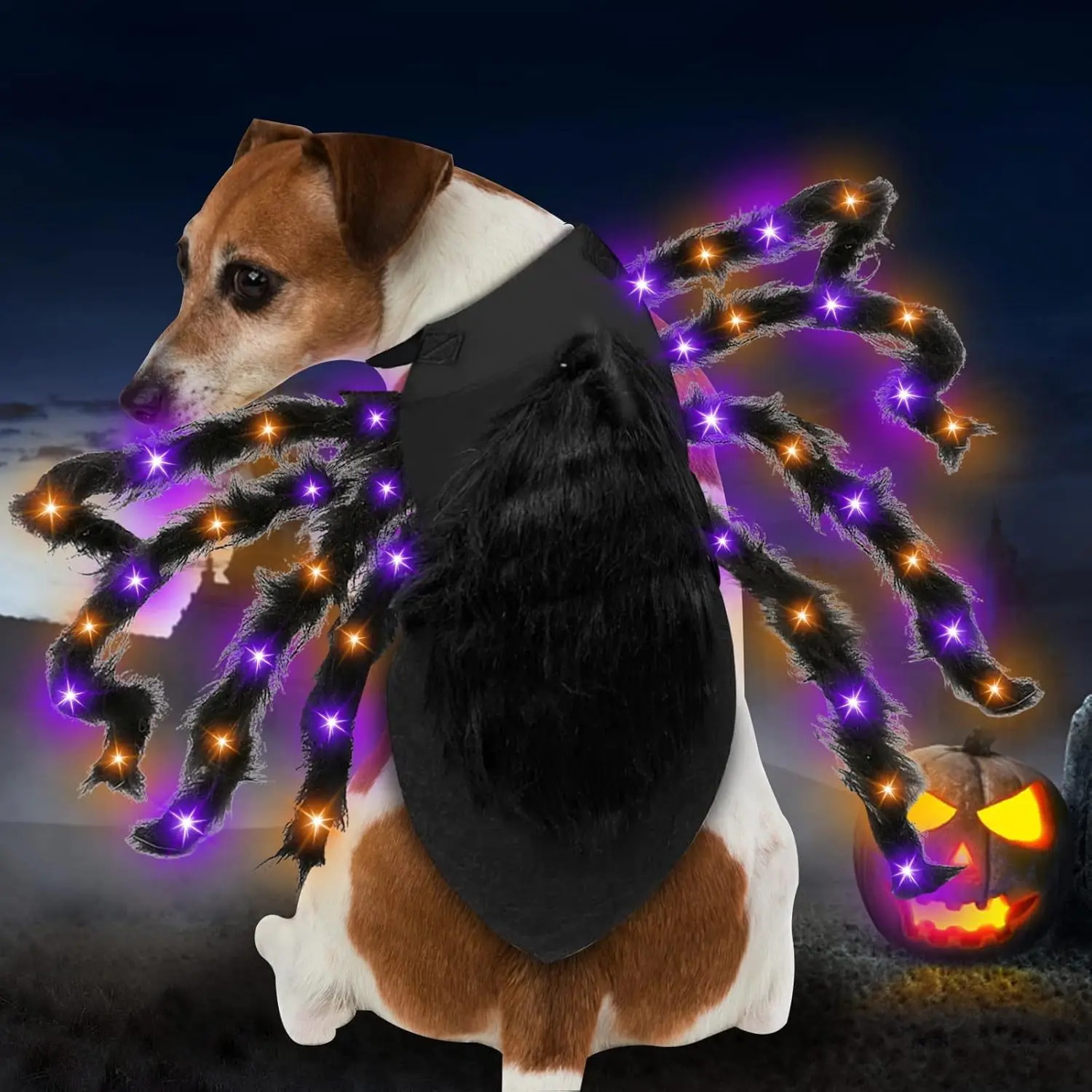 Glowing Spider Dog Costume 6